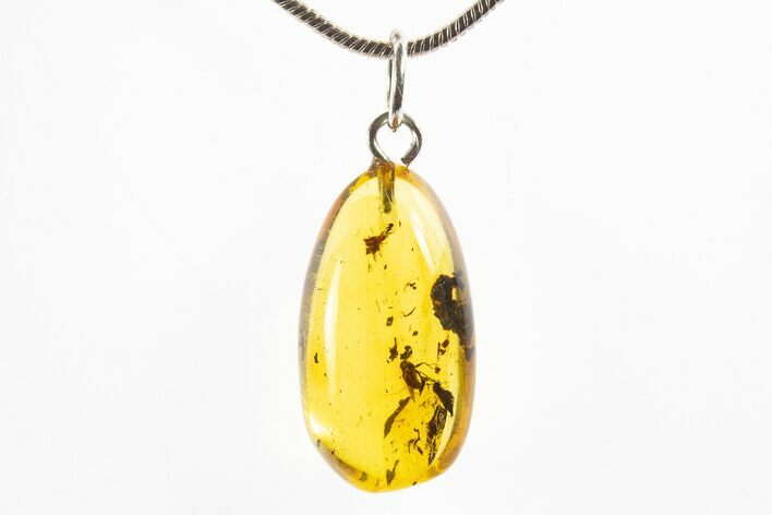 Polished Baltic Amber Pendant (Necklace) - Contains Fly! #312210